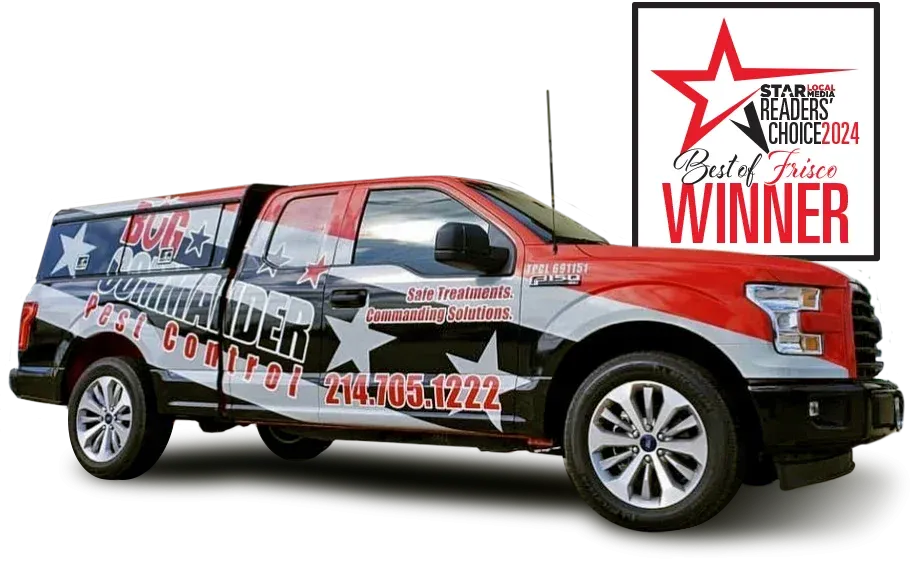 Best of Frisco Winner 2024